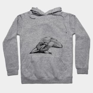 Caracal Hoodie